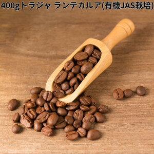I[KjbNR[q[ gW eJA L@JAS͔|  Iׂx  R  蓤 R[q[ R[q[ XyVeBR[q[  400g 800g 1kg 2kg DRIP TRIP 