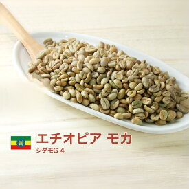【DRIP TRIP】生豆 モカ シダモG4 エチオピア 珈琲 コーヒー スペシャルティコーヒー 送料無料 1kg 2kg 5kg 10kg