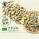 コーヒー 生豆 ブラジル ブルボン（BRAZIL BOURBON) Qグレード 珈琲 スペシャルティ 送料無料【DRIP TRIP】1kg 2kg 5kg 10kg