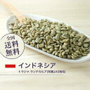 コーヒー 生豆 トラジャ ランテカルア(有機JAS栽培) 珈琲生豆 スペシャルティコーヒー 送料無料 【DRIP TRIP】1kg 2kg 5kg 10kg