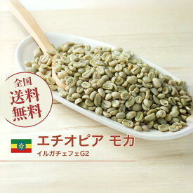 コーヒー 生豆 イルガチャフェ G2 エチオピア 珈琲 スペシャルティ 送料無料【DRIP TRIP】1kg 2kg 5kg 10kg