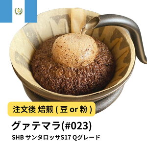 yDRIP TRIPzO@e}SHB T^bTS17 R[q[  Iׂx   蓤 R[q[ XyVeBR[q[  400g 800g 1kg 2kg ACXR[q[  [