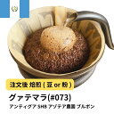 【DRIP TRIP】グアテマラ アンティグア SHB アゾテア農園 ブルボン コーヒー豆 受注焙煎 選べる焙煎度合い 送料無料 珈琲 珈琲豆 コーヒー スペシャルティコーヒー 粉 400g 800g 1kg 2kg