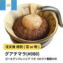 コーヒー豆 グアテマラ ゴールデンパレンシア リオ コロラド農園SHB 受注焙煎 選べる焙煎度合い 送料無料 珈琲 珈琲豆 コーヒー スペシャルティコーヒー 粉 400g 800g 1kg 2kg【DRIP TRIP】
