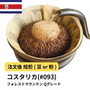 DRIP TRIP コーヒー豆 コスタリカ フォレストマウンテン Qグレード 受注焙煎 選べる焙煎度合い 送料無料 珈琲 珈琲豆 コーヒー スペシャルティコーヒー 粉 400g 800g 1kg 2kg アイスコーヒー 浅煎 深煎