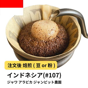 R[q[ W ArJ Wsbg_  Iׂx   蓤 R[q[ XyVeBR[q[  400g 800g 1kg 2kgyDRIP TRIPz R[q[ ACXR[q[ 