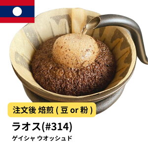 R[q[ IX QCV100% EIbVh  Iׂx  蓤 R[q[ XyVeBR[q[  yDRIP TRIPz  400g 800g 1kg 2kg R[q[ ACXR[q[ 