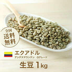 コーヒー生豆 1kg エクアドル アンデスマウンテン Qグレード ニュークロップ 送料無料 大山珈琲