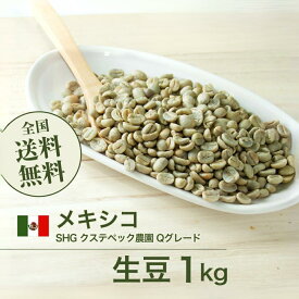 生豆 メキシコ SHG クステペック農園 Qグレード コーヒー 珈琲 スペシャルティ 送料無料【DRIP TRIP】1kg 2kg 5kg 10kg