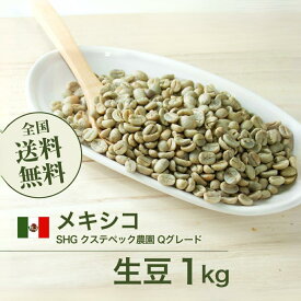 コーヒー生豆 1kg メキシコ SHG クステペック農園 Qグレード 送料無料 大山珈琲