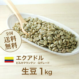 コーヒー生豆 1kg エクアドル ビルカマウンテン Qグレード 送料無料 大山珈琲