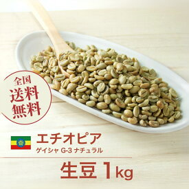 コーヒー生豆 1kg モカ ゲイシャ G3 ナチュラル エチオピア [22年ニュークロップ] 送料無料 大山珈琲