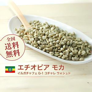 モカ コーヒー生豆 1kgの人気商品・通販・価格比較 - 価格.com