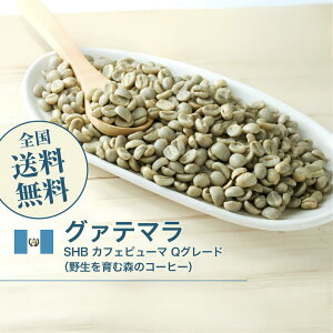 コーヒー生豆 グァテマラSHB カフェピューマ Qグレード(野生を育む森のコーヒー) 珈琲生豆 スペシャルティ 送料無料【DRIP TRIP】1kg 2kg 5kg 10kg