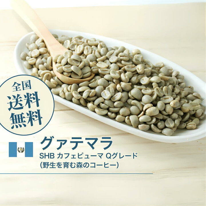 楽天市場】コーヒー生豆 グァテマラSHB カフェピューマ Qグレード  