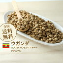 コーヒー生豆 1kg ウガンダ ロブスタ カウェリエステート ナチュラル 送料無料 大山珈琲