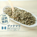 コーヒー 生豆 グァテマラ SHB ウエウエテナンゴ ファンシー Qグレード 珈琲 スペシャルティ 送料無料【DRIP TRIP】1kg 2kg 5kg 10kg