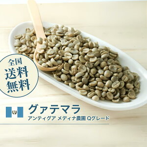 ���� �O�@�e�}�� �A���e�B�O�A ���f�B�i�_�� Q�O���[�h �R�[�q�[ ���� �X�y�V�����e�B ���������yDRIP TRIP�z1kg 2kg 5kg 10kg