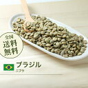コーヒー 生豆 ブラジル サントス ニブラ 珈琲 スペシャルティ 送料無料【DRIP TRIP】1kg 2kg 5kg 10kg