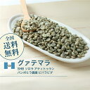 コーヒー 生豆 グアテマラ SHB ソロラ アティトゥラン パンポヒラ農園 珈琲 スペシャルティ 送料無料【DRIP TRIP】1kg 2kg 5kg 10kg