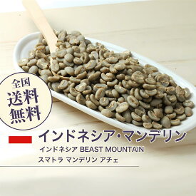DRIP TRIP コーヒー 生豆 インドネシア BEAST MOUNTAIN スマトラ マンデリン アチェ 珈琲 スペシャルティ 送料無料1kg 2kg 5kg 10kg