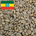 コーヒー生豆 200g モカ ゲイシャ G-3 ナチュラル エチオピア [22年ニュークロップ] 送料250円で800gまで組み合わせ自由 大山珈琲