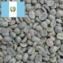 コーヒー生豆 200g グァテマラSHB カフェピューマ Qグレード（野生を育む森のコーヒー） 送料250円で800gまで組み合わせ自由 大山珈琲 グアテマラ ガテマラ