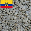 コーヒー生豆 200g エクアドル ティピカ メホラード Qグレード 送料250円で800gまで組み合わせ自由 大山珈琲