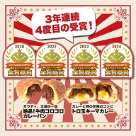 【ポイント10倍★要エントリー】カレーパングランプリ金賞受賞のカレーパンとキーマカレー 6個/12個セッ…