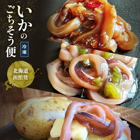 いかのごちそう便 いか塩辛300g×1パック いか三升漬300g×1パック いかわさび300g×1パック いか おつまみ 北海道 ギフト 3種類セット 国産 お取り寄せ