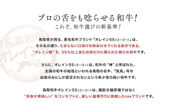 オレイン55鳥取和牛切落し1kg(冷凍)黒毛和牛和牛牛a4a5a5ランクお肉焼肉すき焼き肉しゃぶしゃぶギフト内祝お中元中元御中元贈答