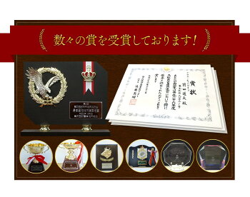 オレイン55鳥取和牛切落し1kg(冷凍)黒毛和牛和牛牛a4a5a5ランクお肉焼肉すき焼き肉しゃぶしゃぶギフト内祝お中元中元御中元贈答