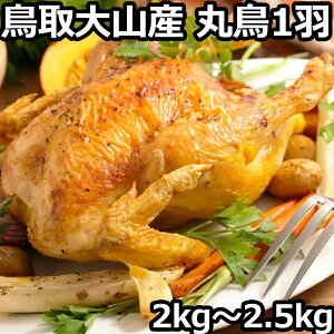 ی{  Y 1H 2kg ` 2.5kg ے ۂƂ R n[u`L ܂邲  ۂǂ NX}X [Xg`L O  { Ƃ z[`L NX}Xp[eB[ jg BBQ 