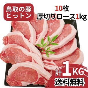 yz ؃[X Xe[L 1kg 100g×10 挧Y [X uh Ƃg Zbg ؃[X Xe[L  [X Ƃ񂩂 gJc geL ؓ BBQ o[xL[ Lv