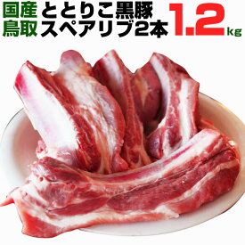 楽天市場 スペアリブ 食品 の通販