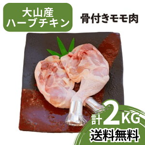 yz 挧 RY n[u`L t 2{ 600g {  Ƃ  `L n[u`L BBQ o[xL[ AEghA Lv