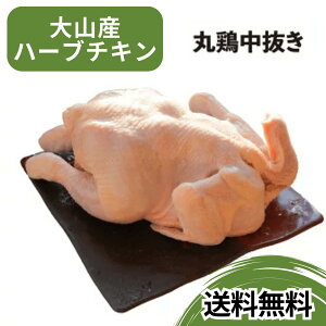 yzی{ Y   挧Y R n[u`L ۂǂ ے 2kg ` 2.5kg 1H  NX}X [Xg`L NX}Xp[eB[ jg O BBQ z[`L