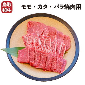 【送料無料】 鳥取和牛 カルビ焼肉用 500g 和牛 A5 A5ランク カルビ 焼肉 焼き肉 BBQ バーベキュー アウトドア キャンプ 国産