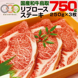 【送料無料】リブロース ステーキ 250g×3枚 鳥取和牛 すき焼き ステーキ肉 A4 A5 等級 和牛 ヒレ サーロイン 肩ロース好きに BBQ バーベキュー アウトドア キャンプ