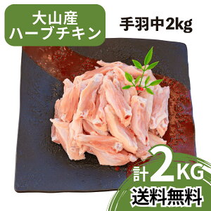 yz {  RY n[u`L Y H 2kg Y { 񂹃O  { BBQ o[xL[ AEghA Lv Ɩp