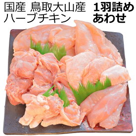 鶏肉 1羽 詰め合わせ ハーブチキン 国産 鳥取 大山産 鳥肉 とりにく とり肉 チキン モモ肉 胸肉 ムネ肉 手羽先 手羽元 ささみ 2個ずつ 丸ごと 焼き鳥 焼鳥 唐揚げ からあげ お取り寄せグルメ BBQ バーベキュー グリル キャンプ 特価 業務用 冷凍