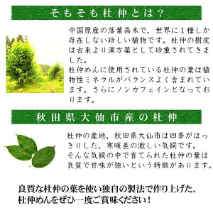 【送料無料】杜仲めん/200g×3パック/杜仲茶/杜仲/杜仲茶練りこみ麺/乾麺/ご自宅用に/メール便発送/秋田【同梱不可】【代引不可】【贈答不可】【日付指定不可】