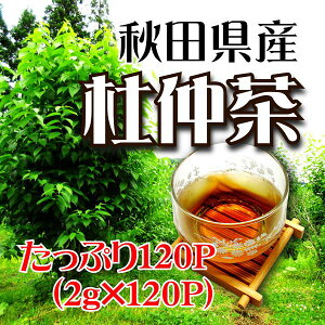 杜仲茶/2g×120パック/ご贈答/お歳暮/お取り寄せ