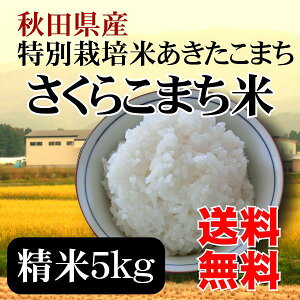 特別栽培米さくらこまち米精米5kg減農薬・減化学肥料/特別栽培米/使いやすい5kg袋/おにぎりに最適