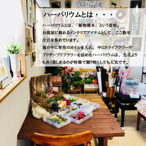 ハーバリウム2本セット/植物標本/ドライフラワー/プリザーブドフラワー/贈り物/ギフト/母の日