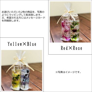 ハーバリウム2本セット/植物標本/ドライフラワー/プリザーブドフラワー/贈り物/ギフト/母