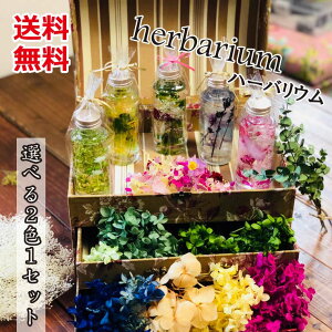 ハーバリウム2本セット/植物標本/ドライフラワー/プリザーブドフラワー/贈り物/ギフト/母の日