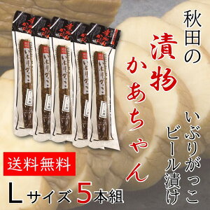 yzԂ肪r[Ђ5{Zbg hi₳j Ԃ肪 LTCYi300g`320gxj  Е 卪 Hc r[