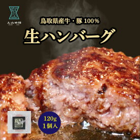 ハンバーグ 120g 単品1個 お試し 鳥取大山 生ハンバーグ 食品 贈り物 挨拶 お祝い 仕送り 内祝い 誕生日 お礼 お取り寄せ ご褒美 惣菜 冷凍 食べ物 ハンバーグ 牛肉 豚肉 お土産 鳥取県 送料無料 焼くだけ 手軽 誕生日パーティー