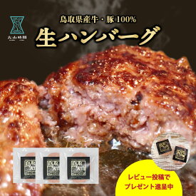 ハンバーグ 120g 3個入り お取り寄せ 仕送り 鳥取 お土産 食品 惣菜 生ハンバーグ おかず お試し ちょうどいい 便利 美味しい 簡単 ご褒美 冷凍 食べ物 鳥取大山ハンバーグ 国産 送料無料 肉の日 簡単 手軽 お取り寄せグルメ